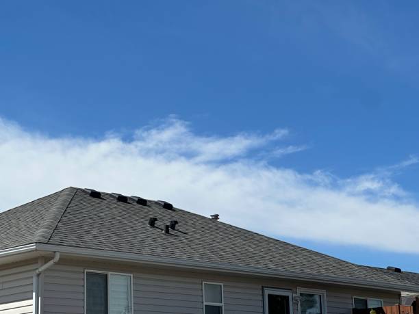 Best Sheet Metal Roofing  in East Williston, NY