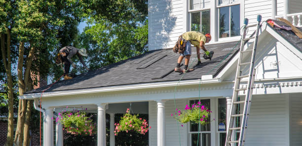 Best Green or Eco-Friendly Roofing Solutions  in East Williston, NY